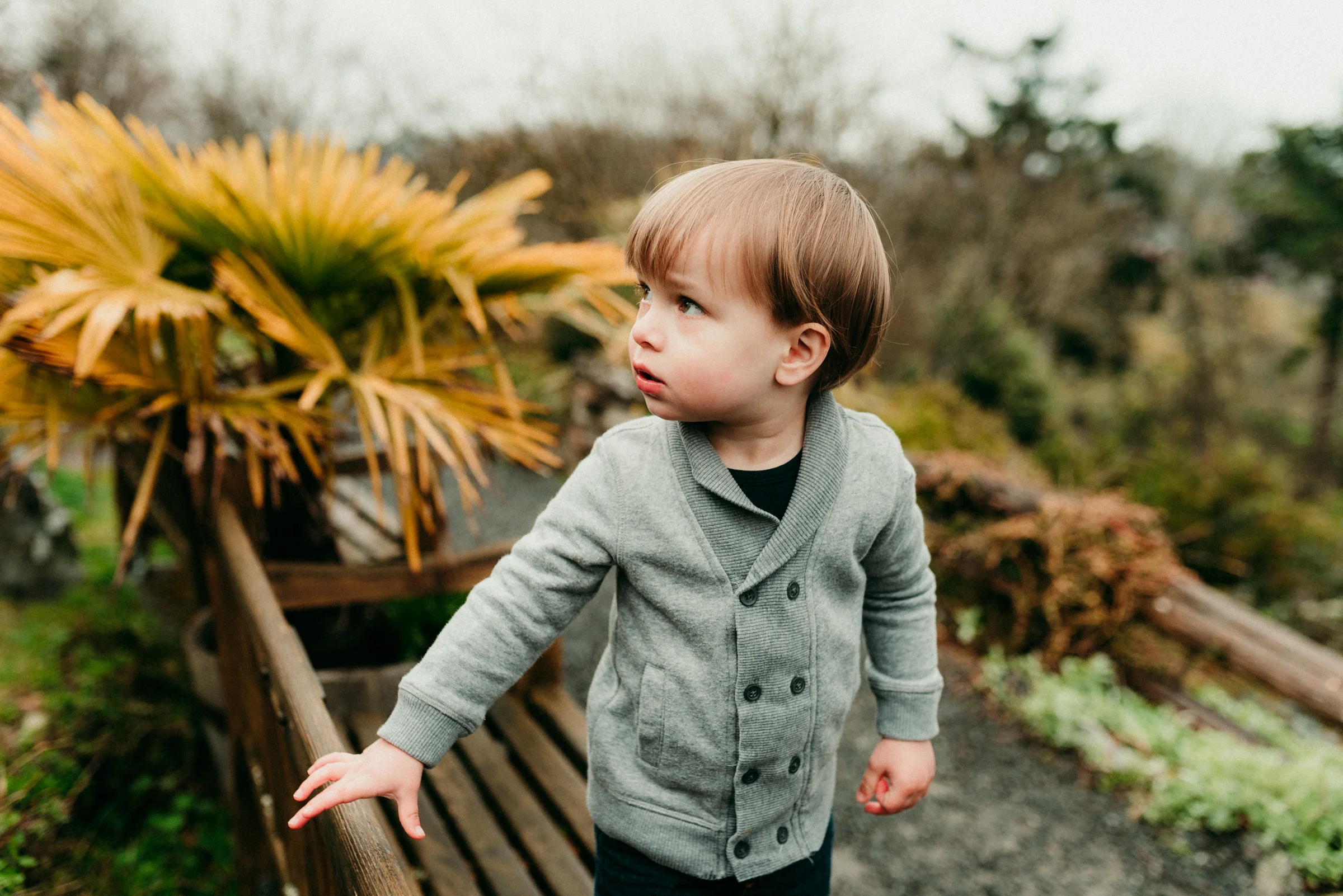 Nicola_Reiersen_Photography_Victoria_BC_Family_Photographer.jpg