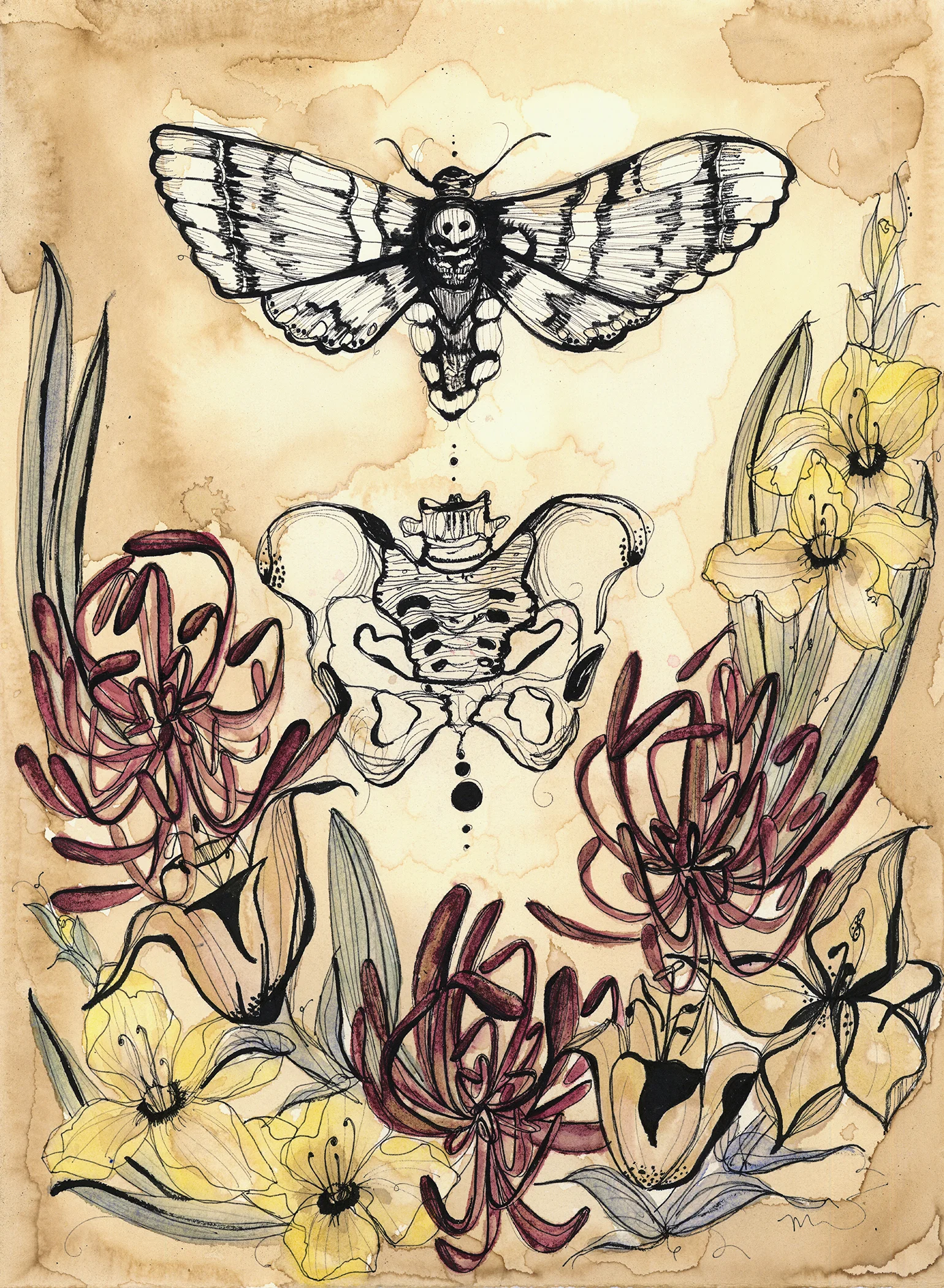 Moth_small.jpg