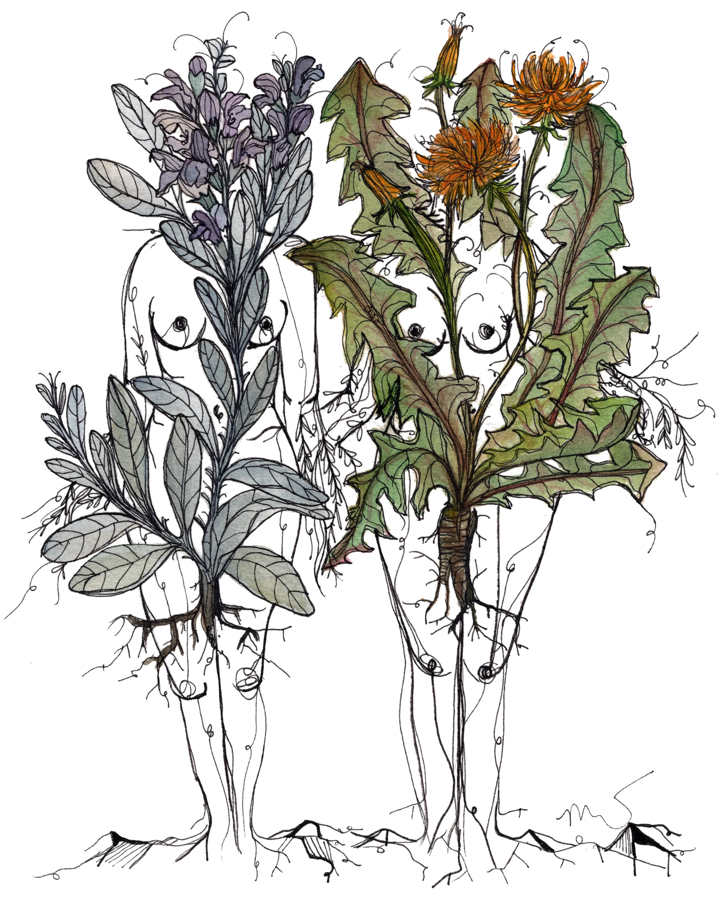 root8x10.jpg