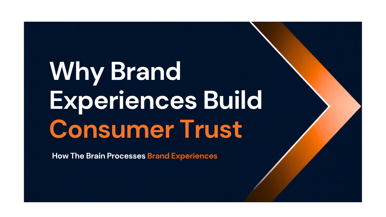 Why Brand Experiences and Permanent Displays Build Real Consumer Trust