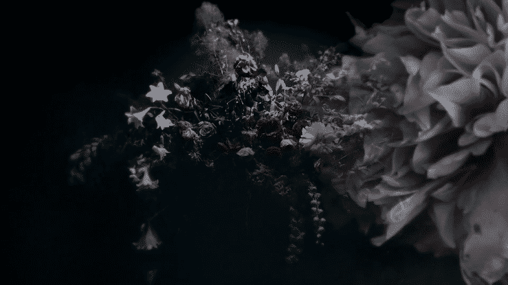 DIRECTORS CUT-low (2).gif