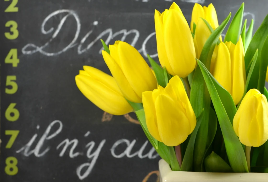 Vintage Tour de France Cafe Sign & Vintage Ceramic Vase