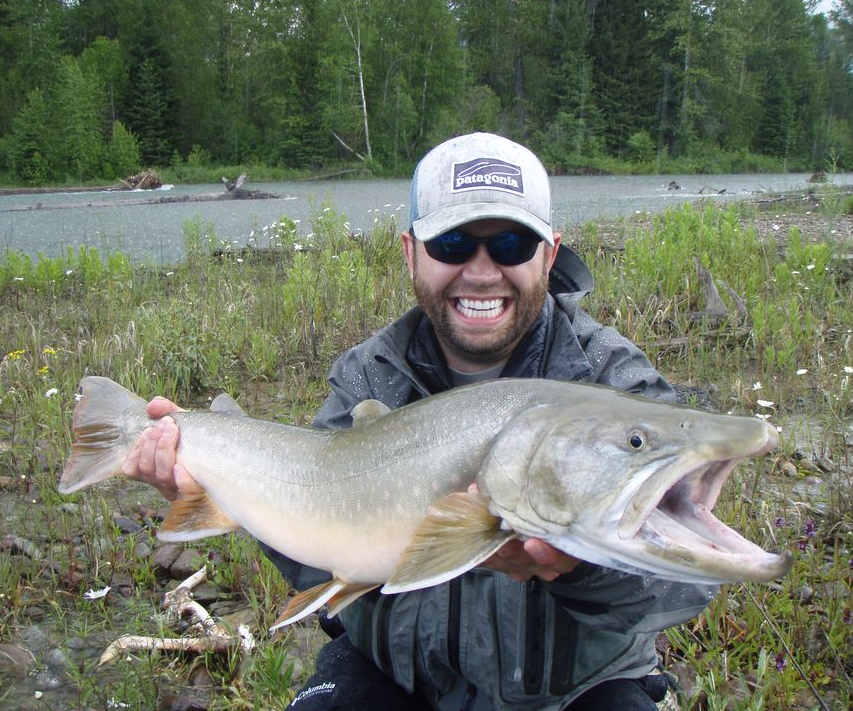 Montana Tech Professor, Nick Hawthorne, shows off a rare beauty, a Montana bull trout. For more Nick Hawthorne photography, see https://www.facebook.com/slapartist2/ 