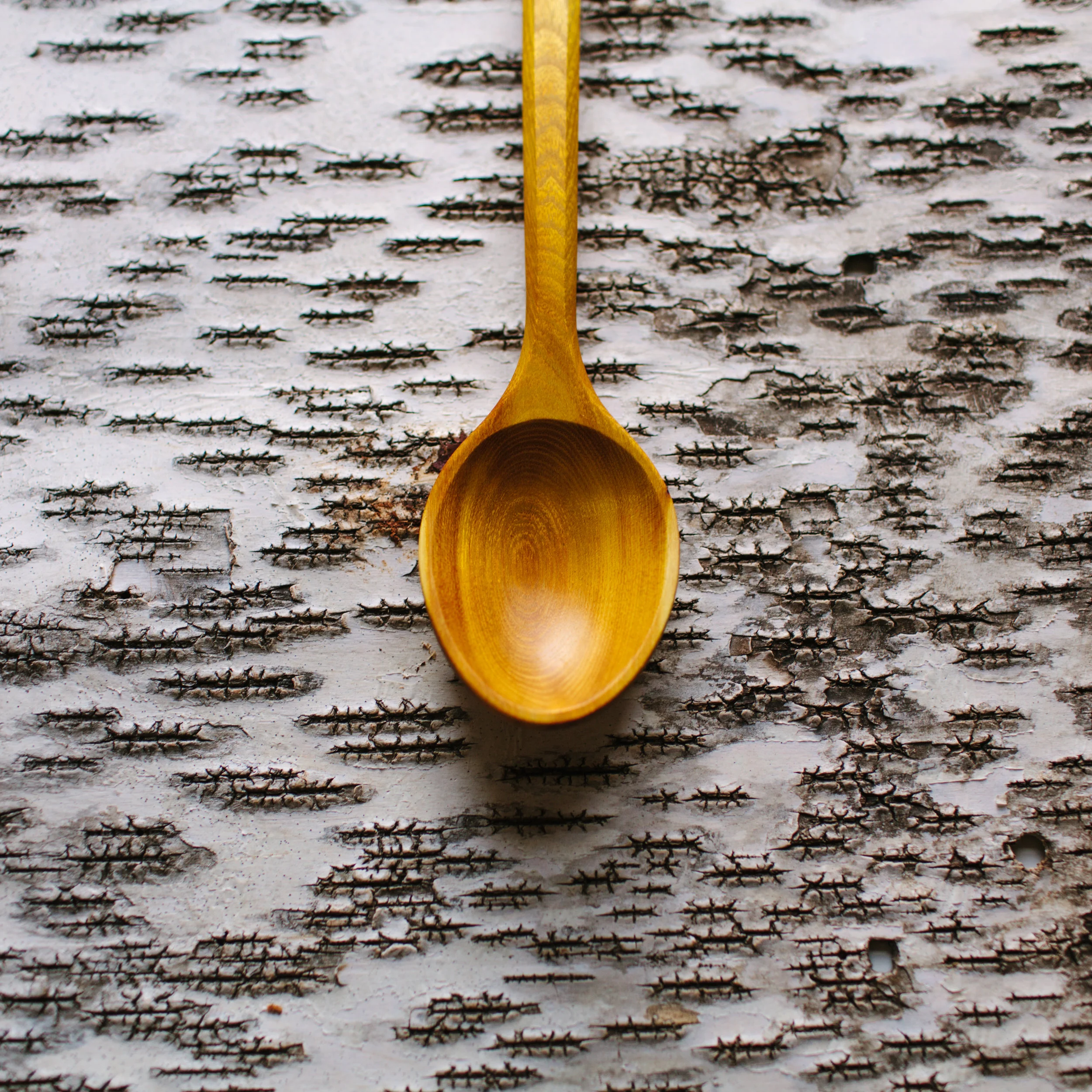 HANDMADE-OSAGE-ORANGE-SPOON-4.jpg