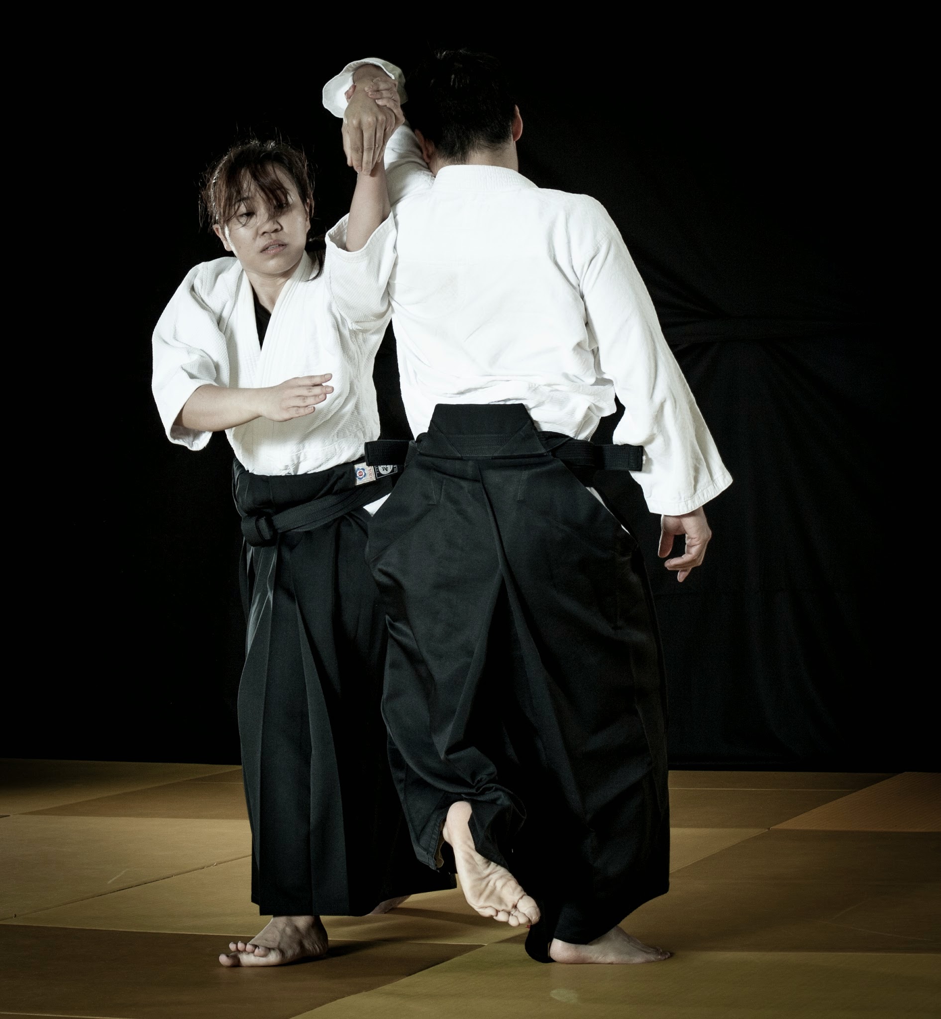 Aikido_Mar_2014-365.jpg