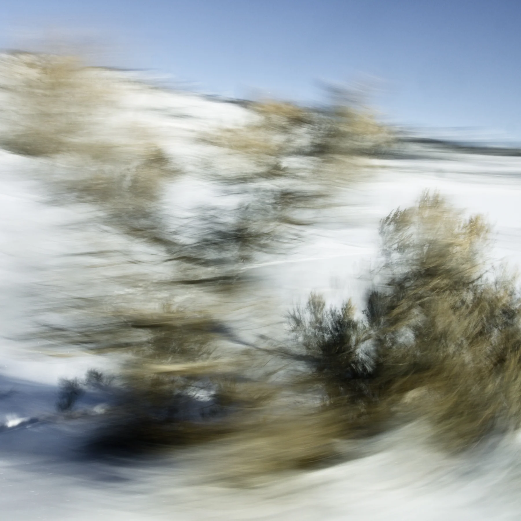 Winter Landscape with Scrub, Yellowstone, 2014
