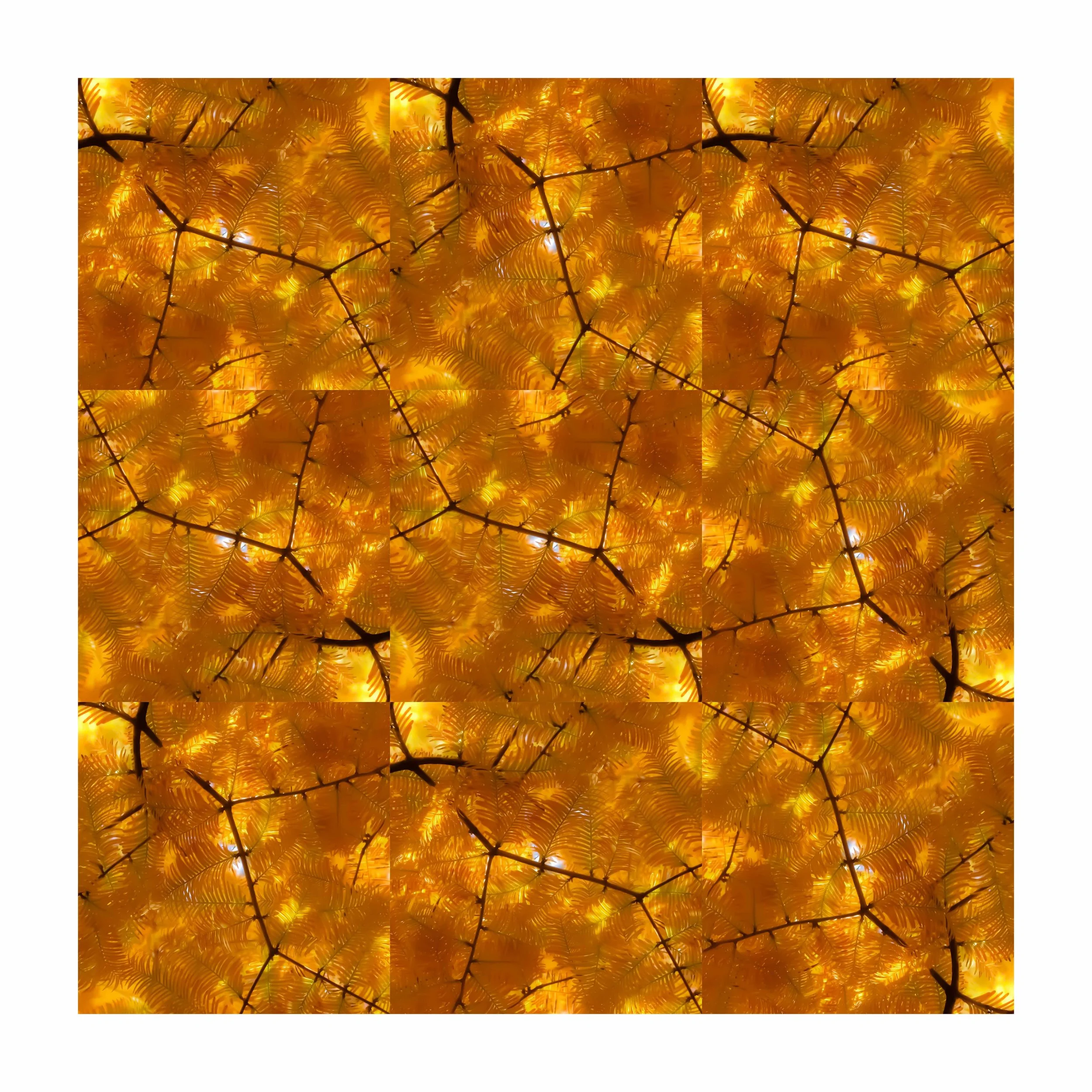 Hemlock.3.42x42..jpg