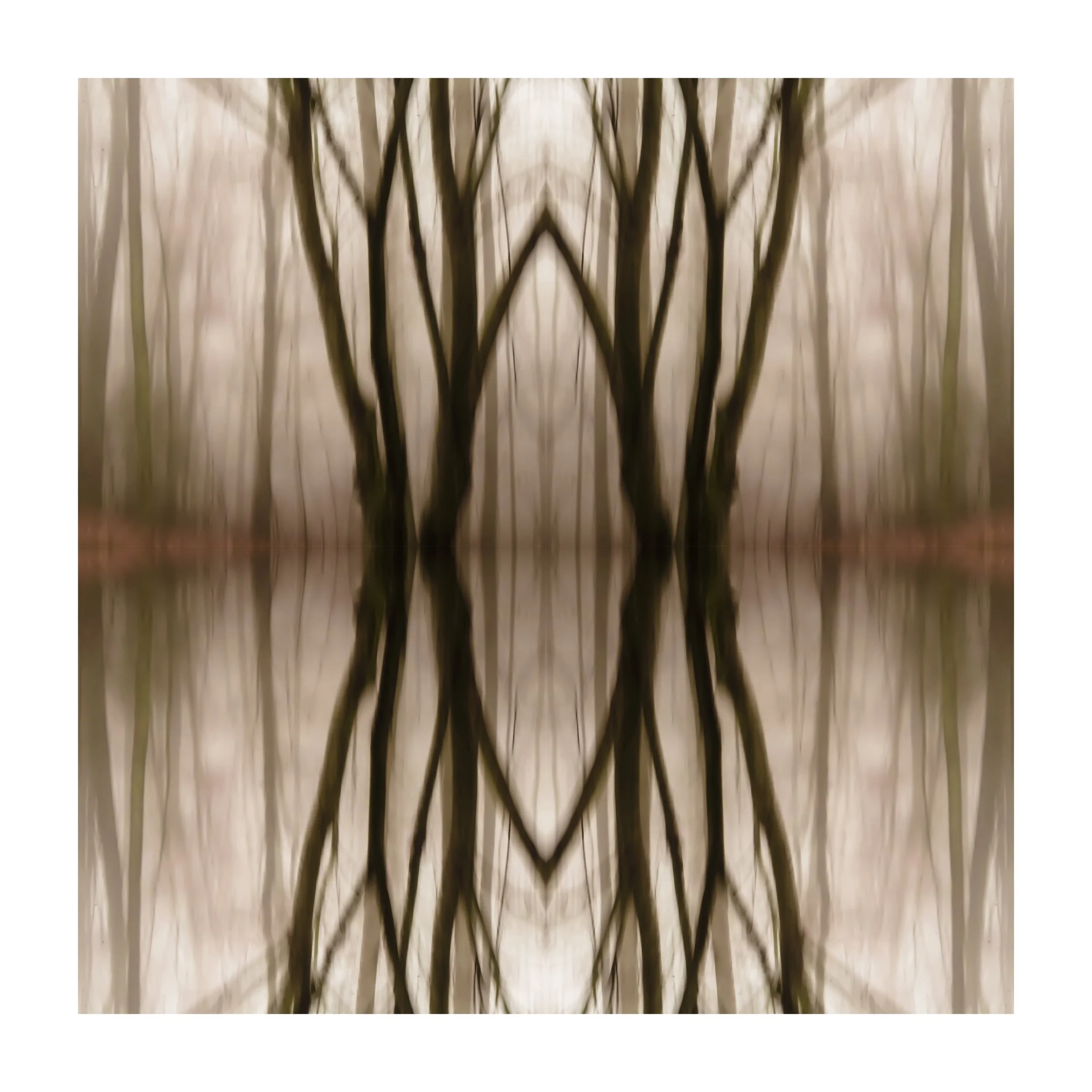 ForestFogInvertQUAD42X42.jpg