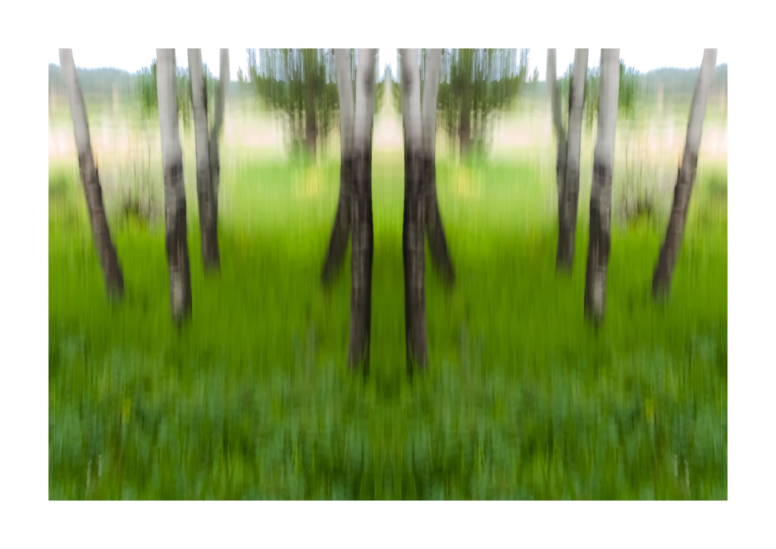 RMNP.5..jpg