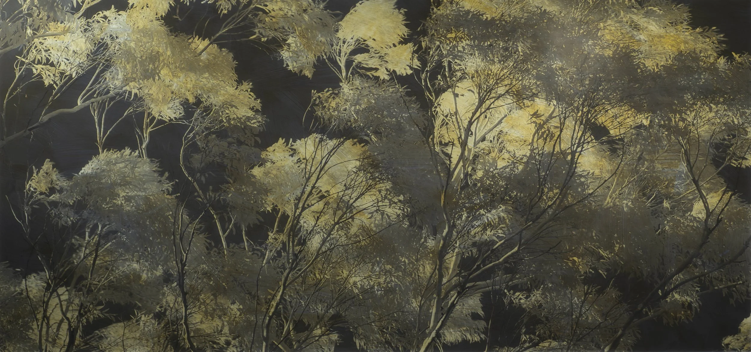 Today’s Winds Blow Hard, What a Dream_33x66