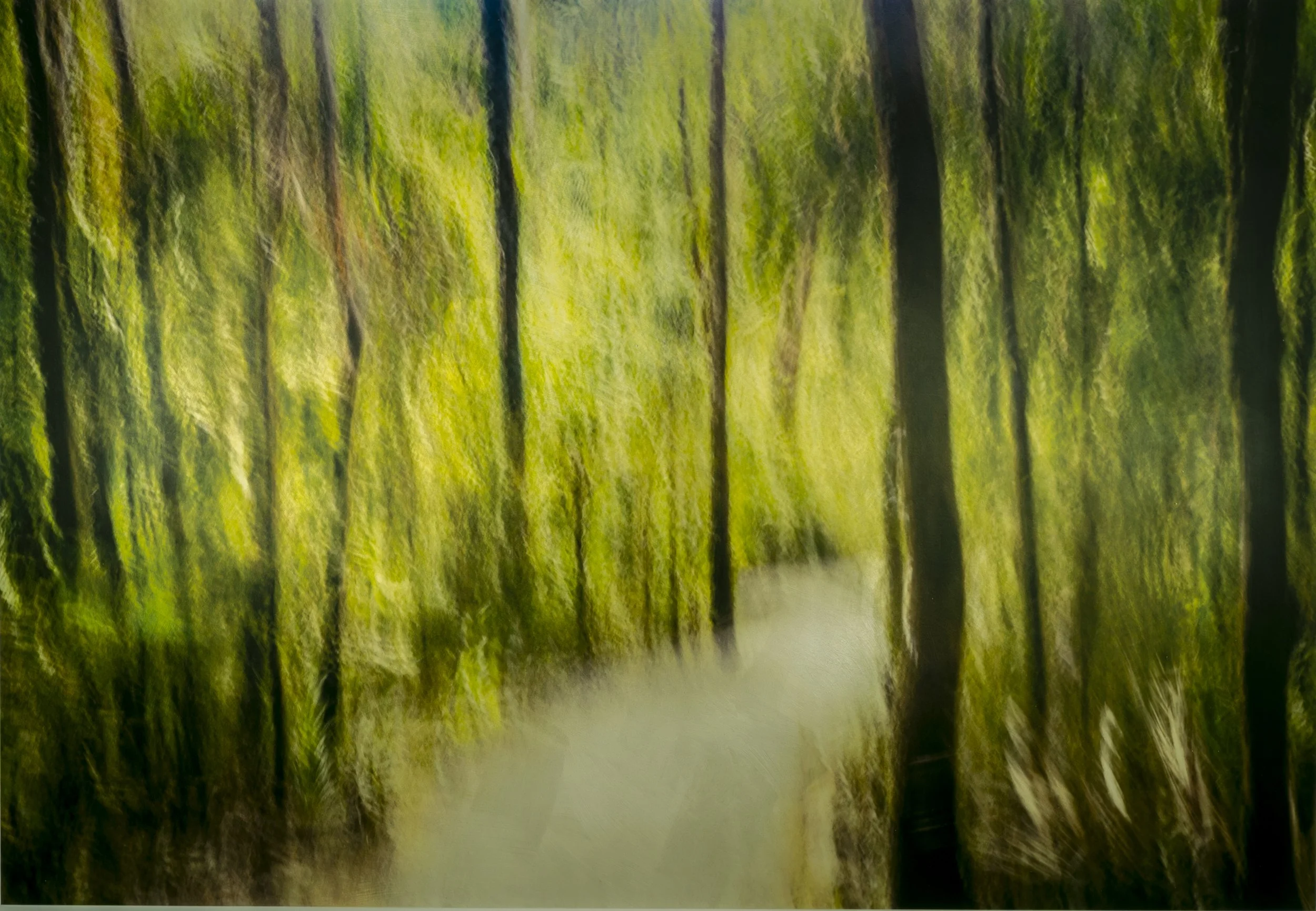 Take a Step, Leave a Trace_30x42