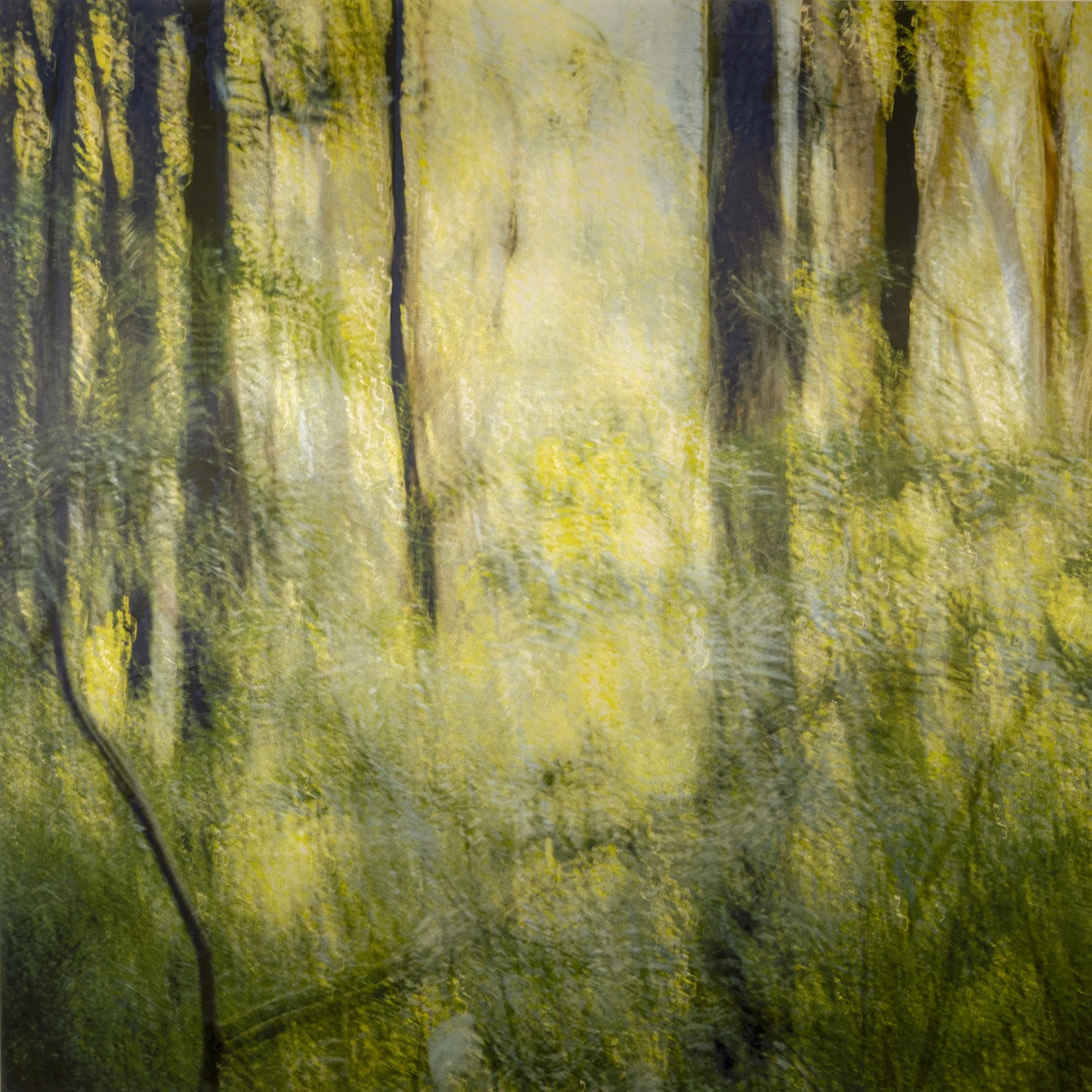 Today, This Is Reality Enough_30x30