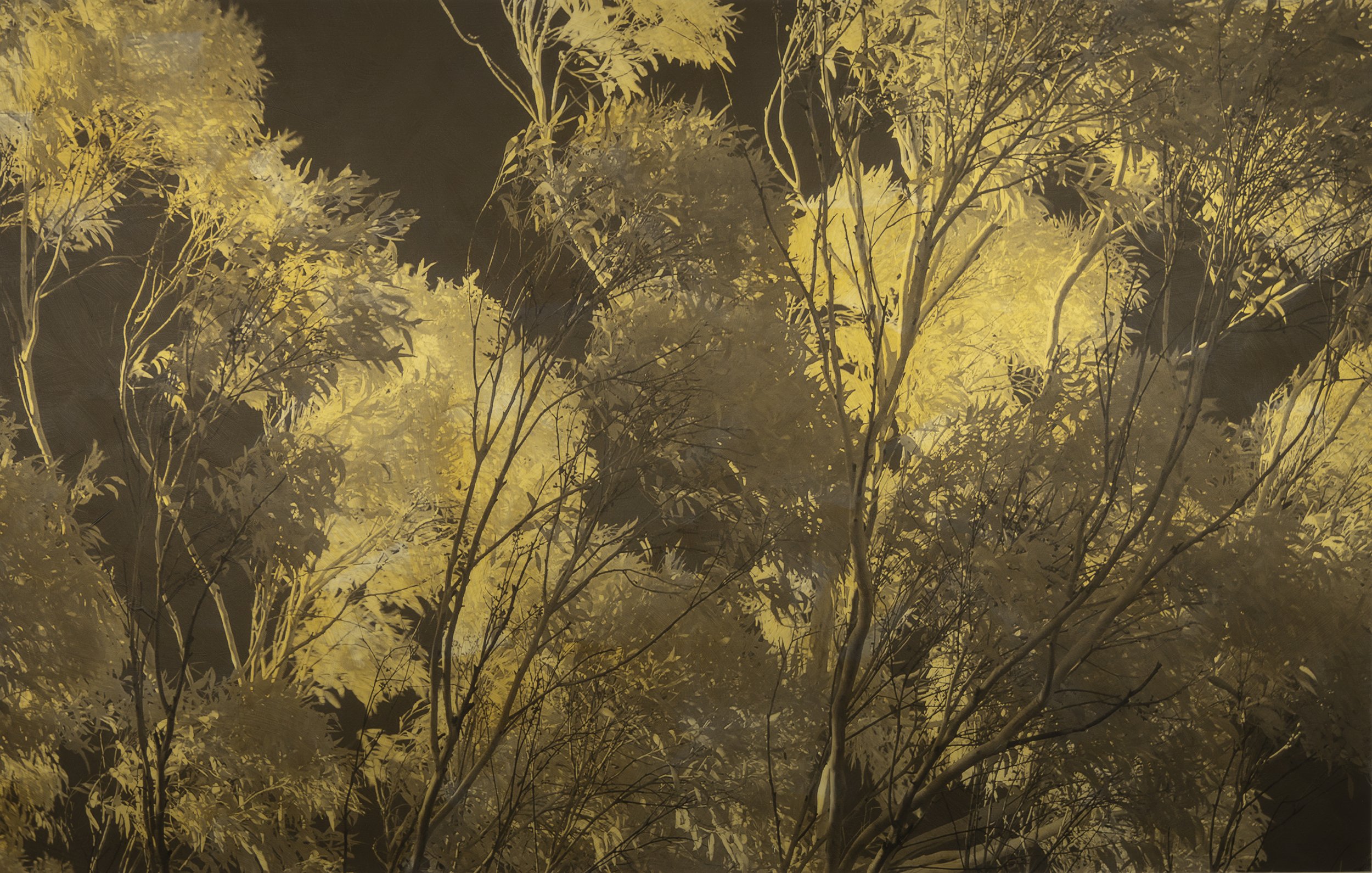 Winds Blow Through the Day V.2_24x36