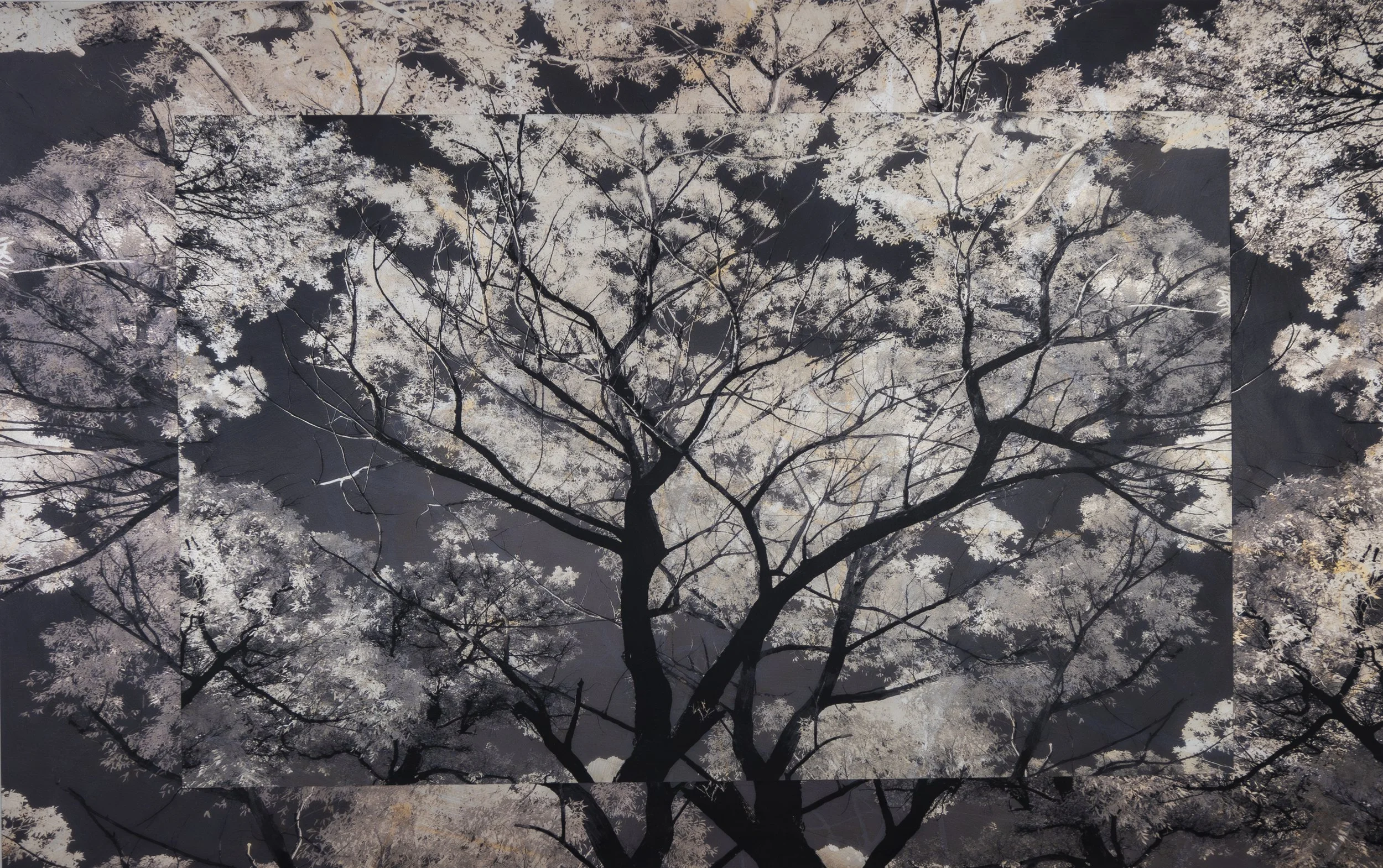 At Daybreak, Confused_24x36