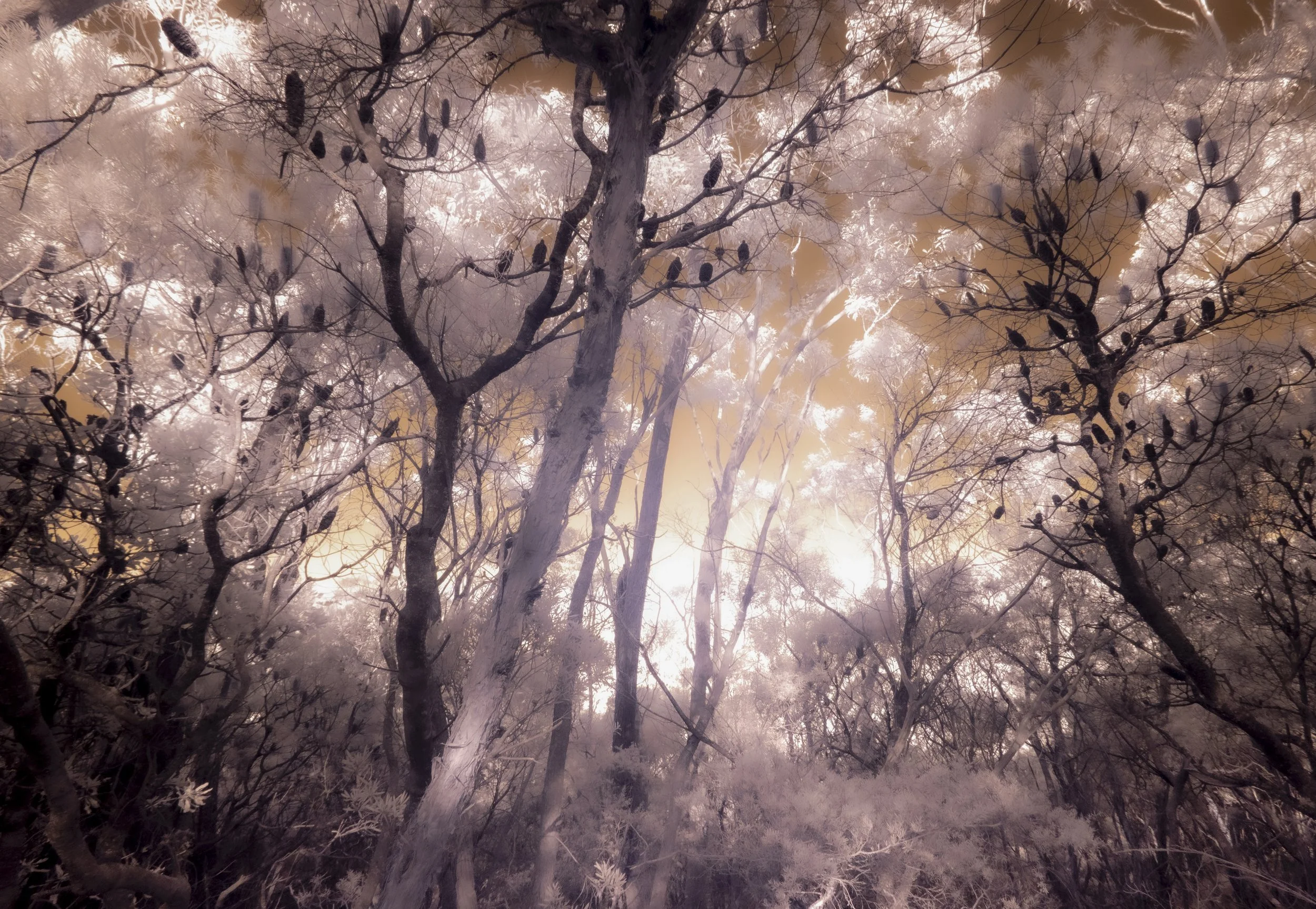 The Fourth Day_30x42