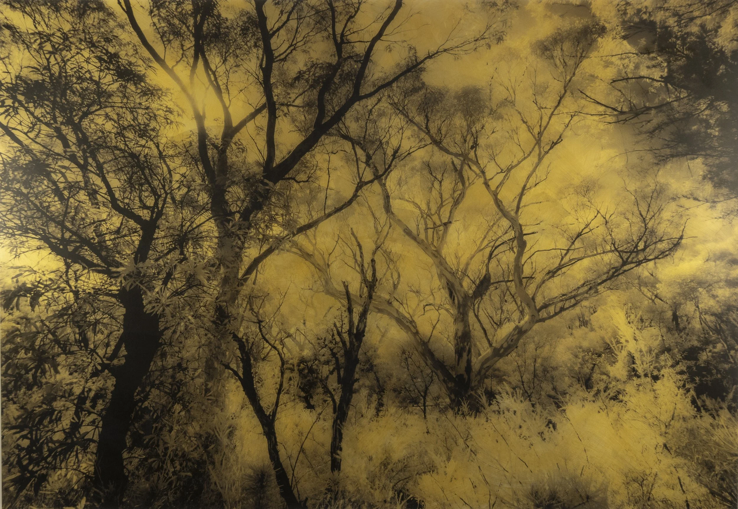 You Never Know Just When_30x42