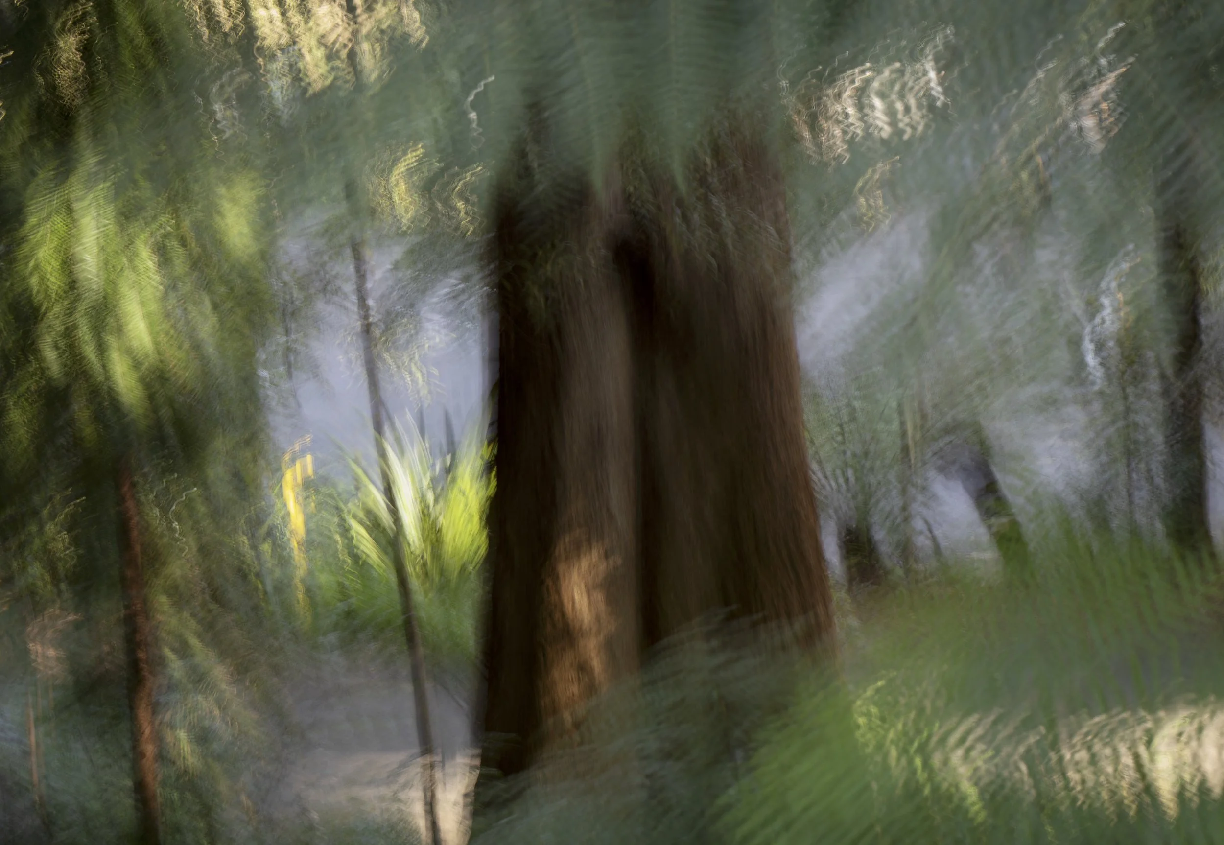 The Evergreen Trunk Still Red Brown_36x48