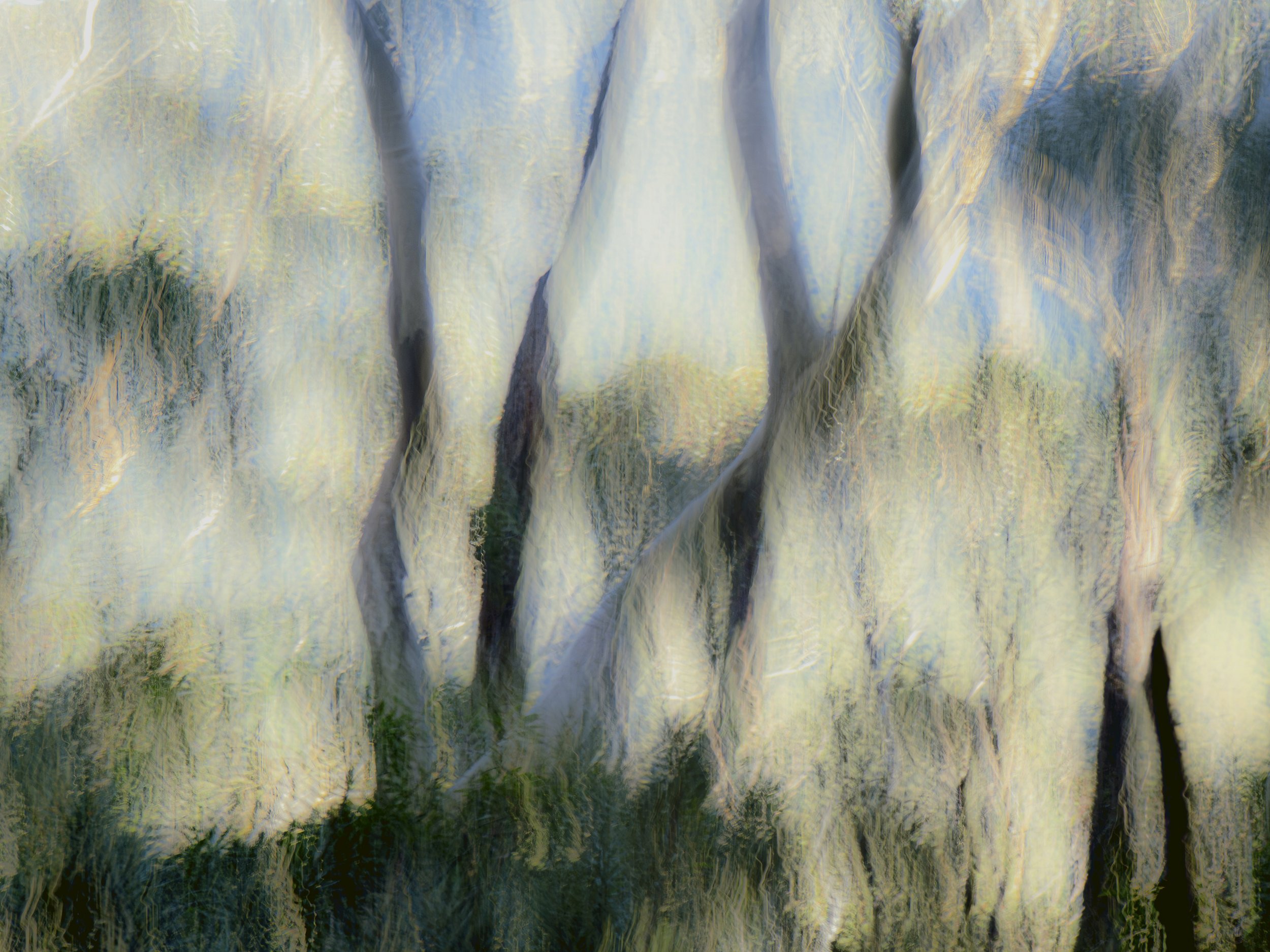 Persistence of Light_36x48