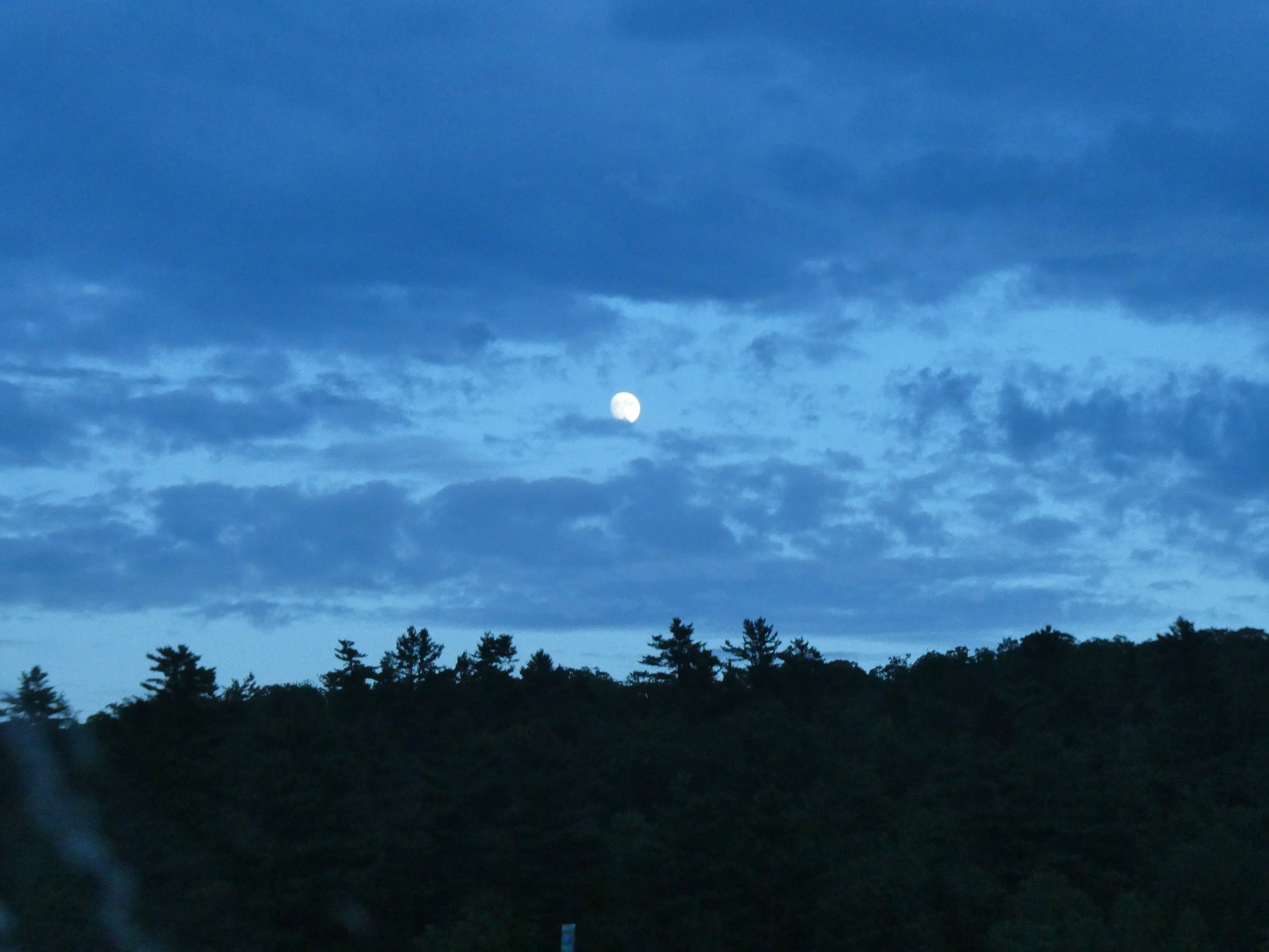 P1012632.JPG