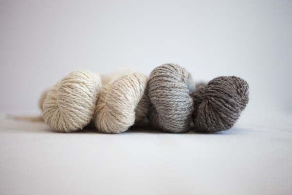 Colors (from left to right): Buru, Tyto, Cement, Papuan