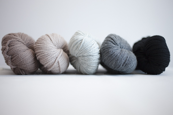 Colors (from left to right): Twig, Chanterelle, Iceland, Kittywake, Crow