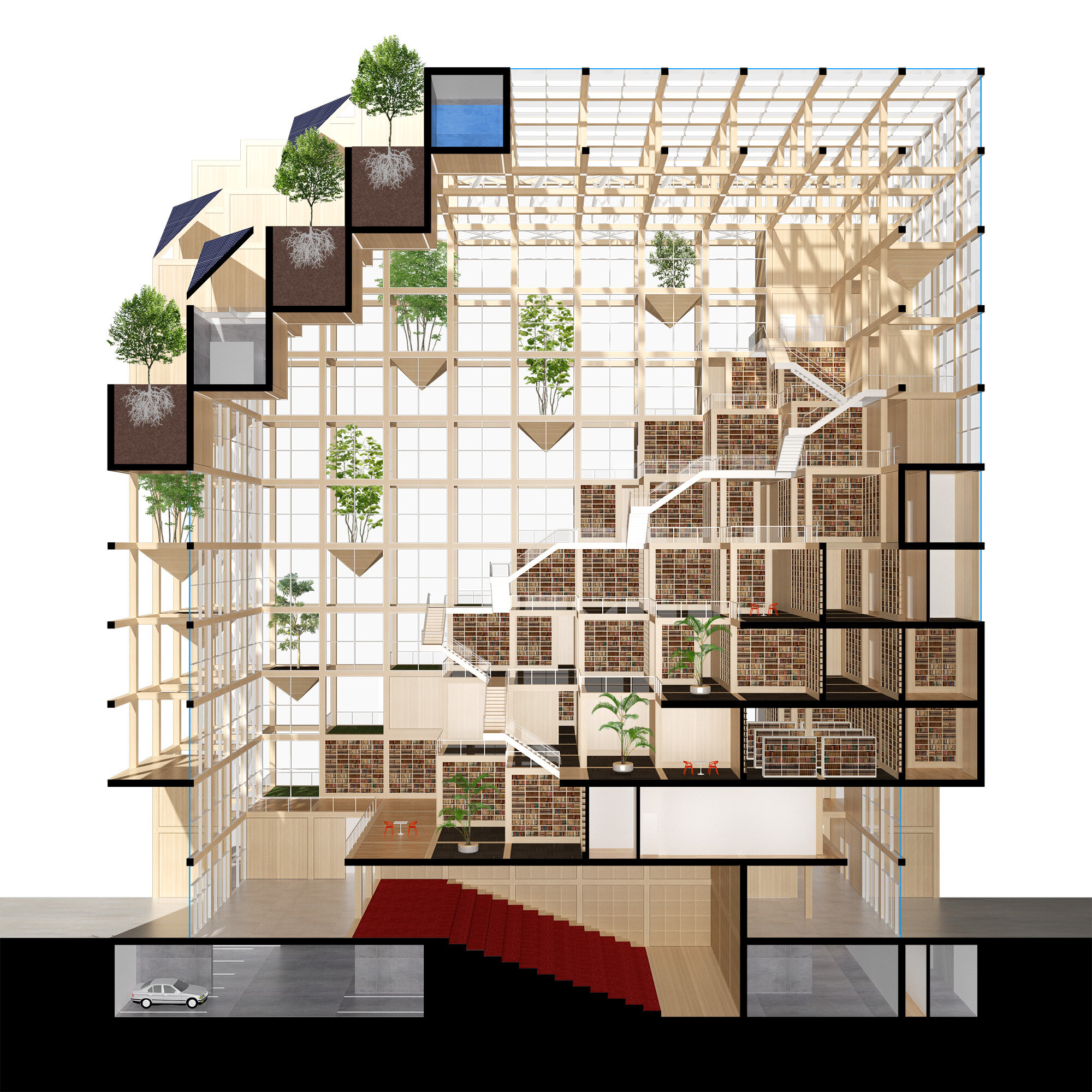 Section Perspective