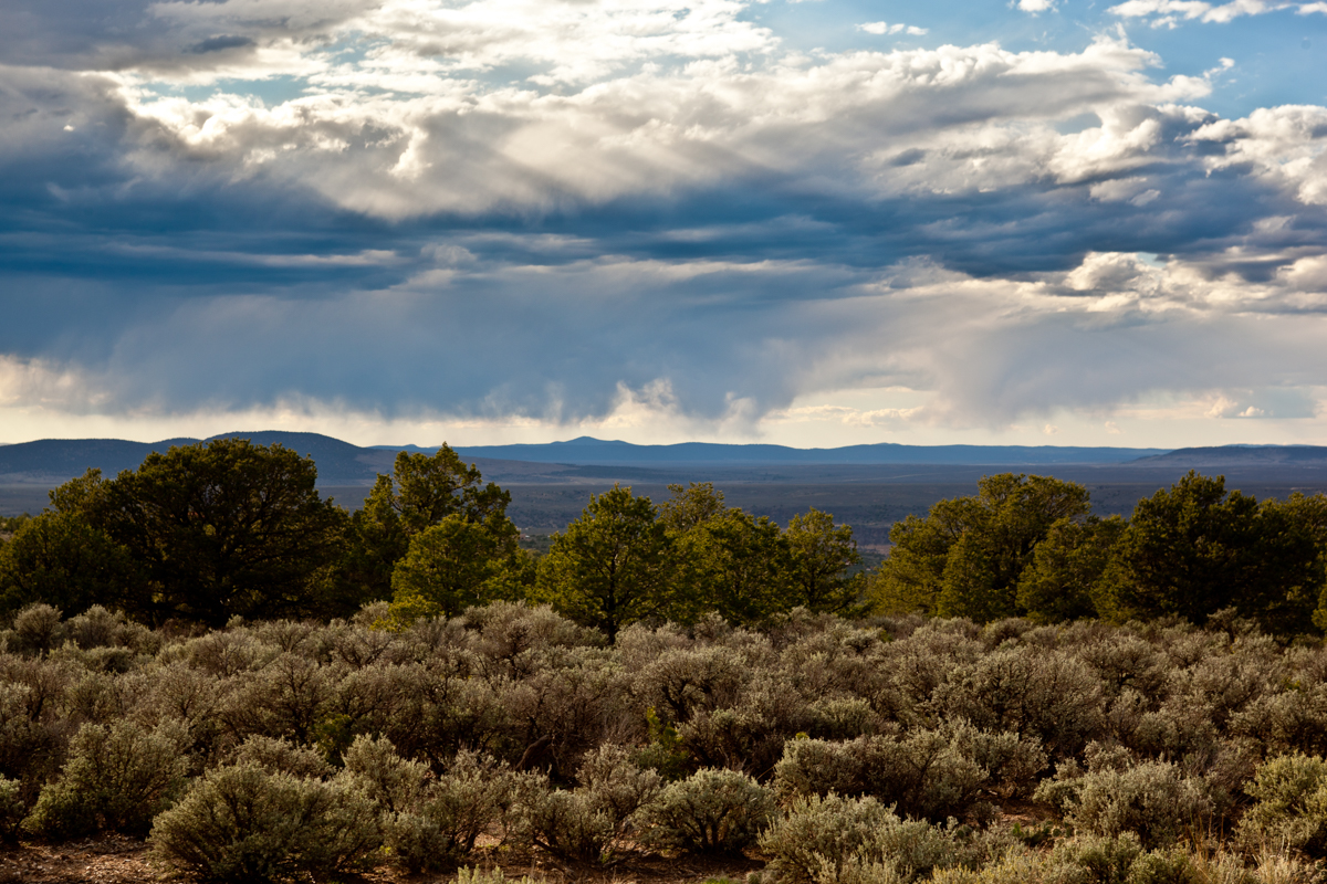 Arroyo Hondo, NM for LACMA, 2011