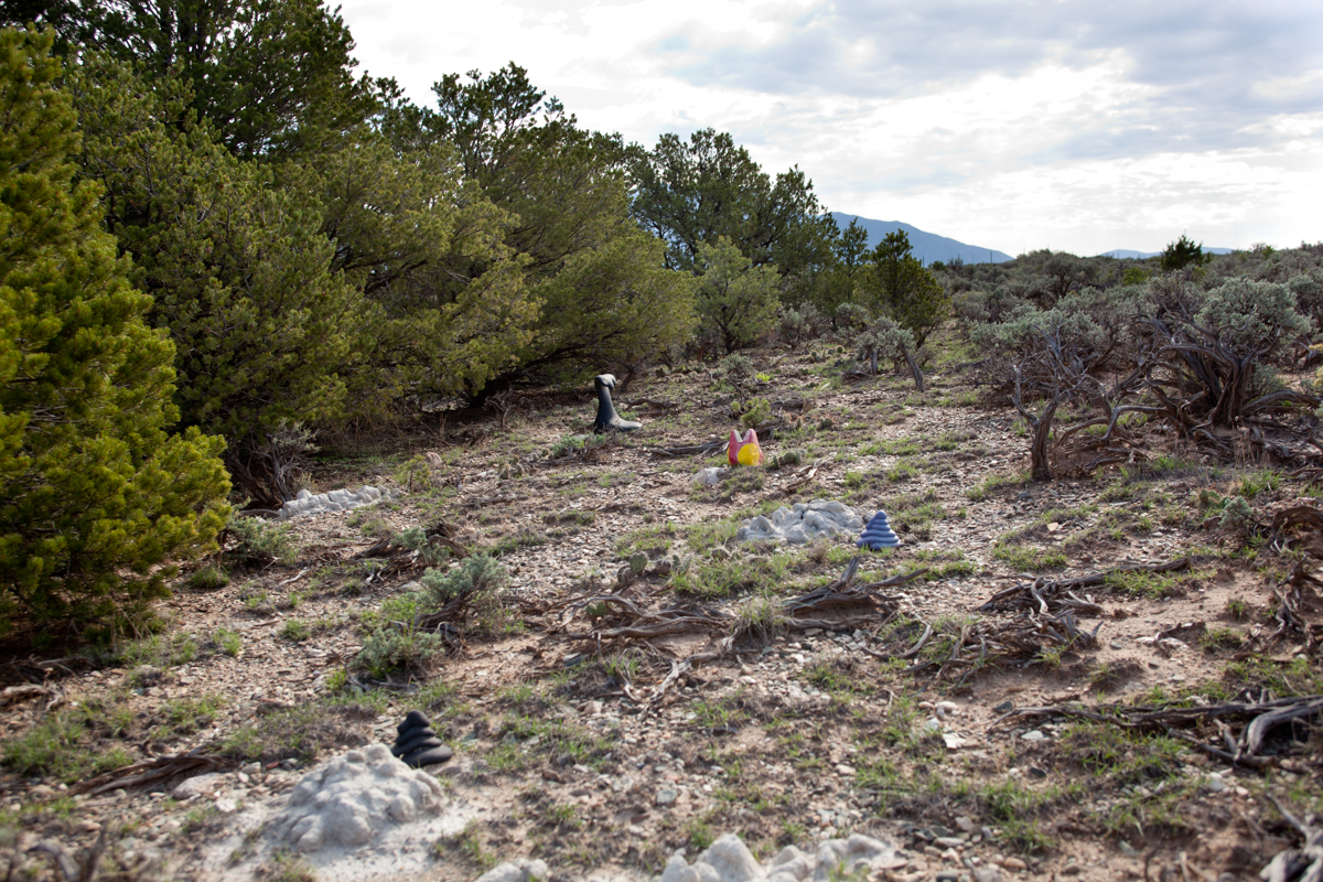 Arroyo Hondo, NM for LACMA, 2011