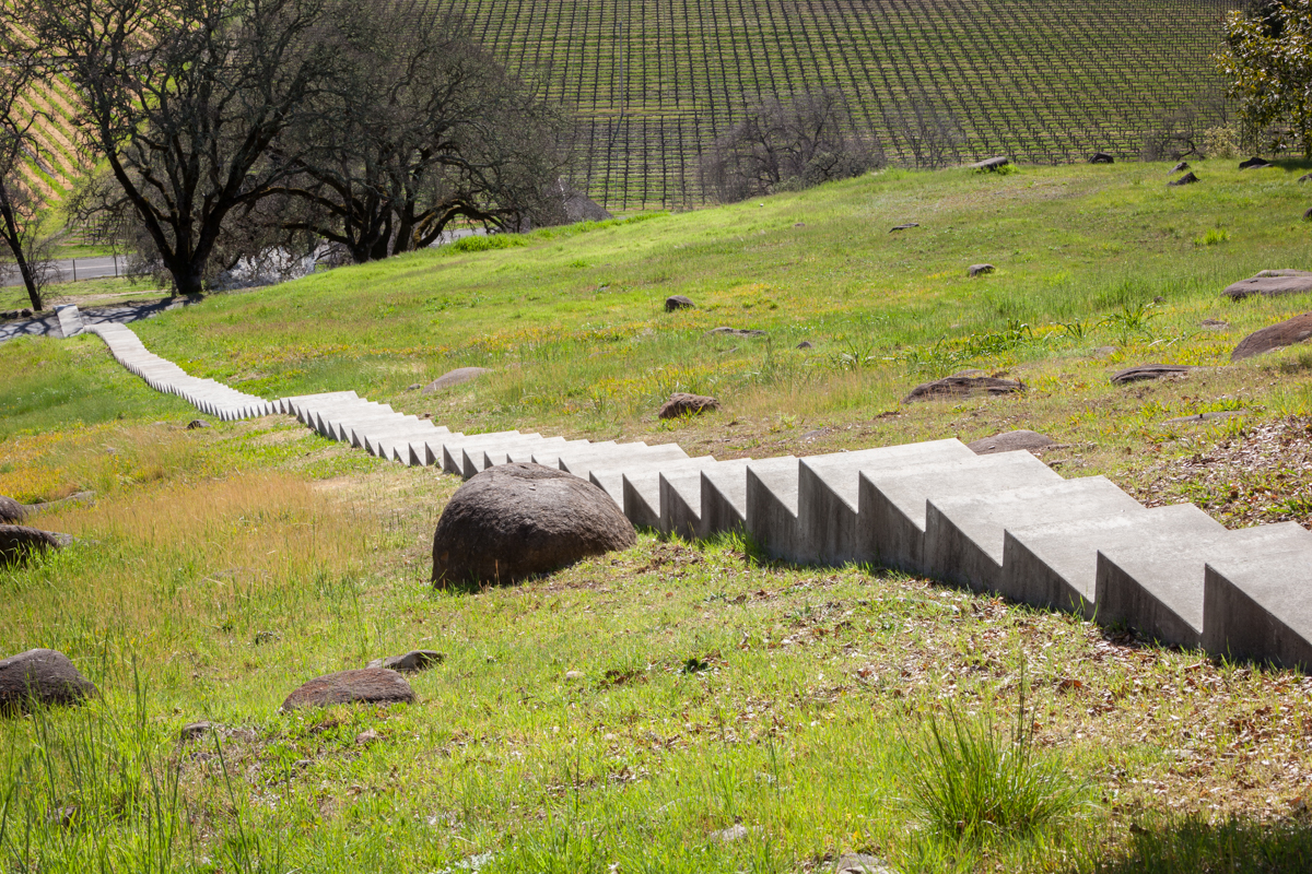 Bruce Nauman for Oliver Ranch Foundation, 2013