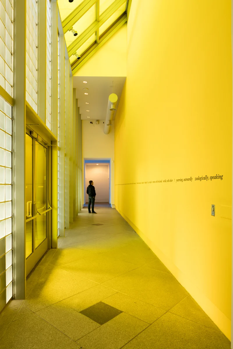 Diana Thater, for LACMA, 2015