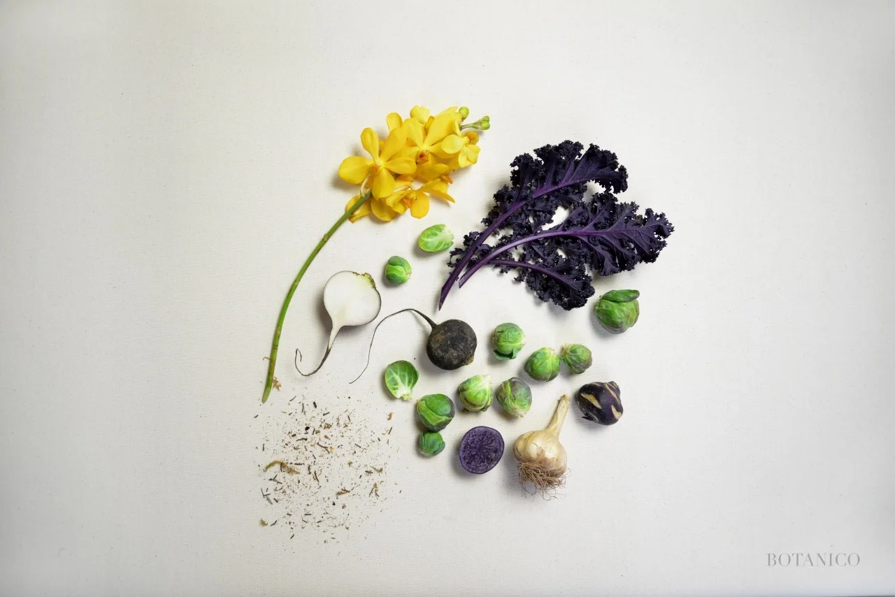 Photography: Olivia Gossett 