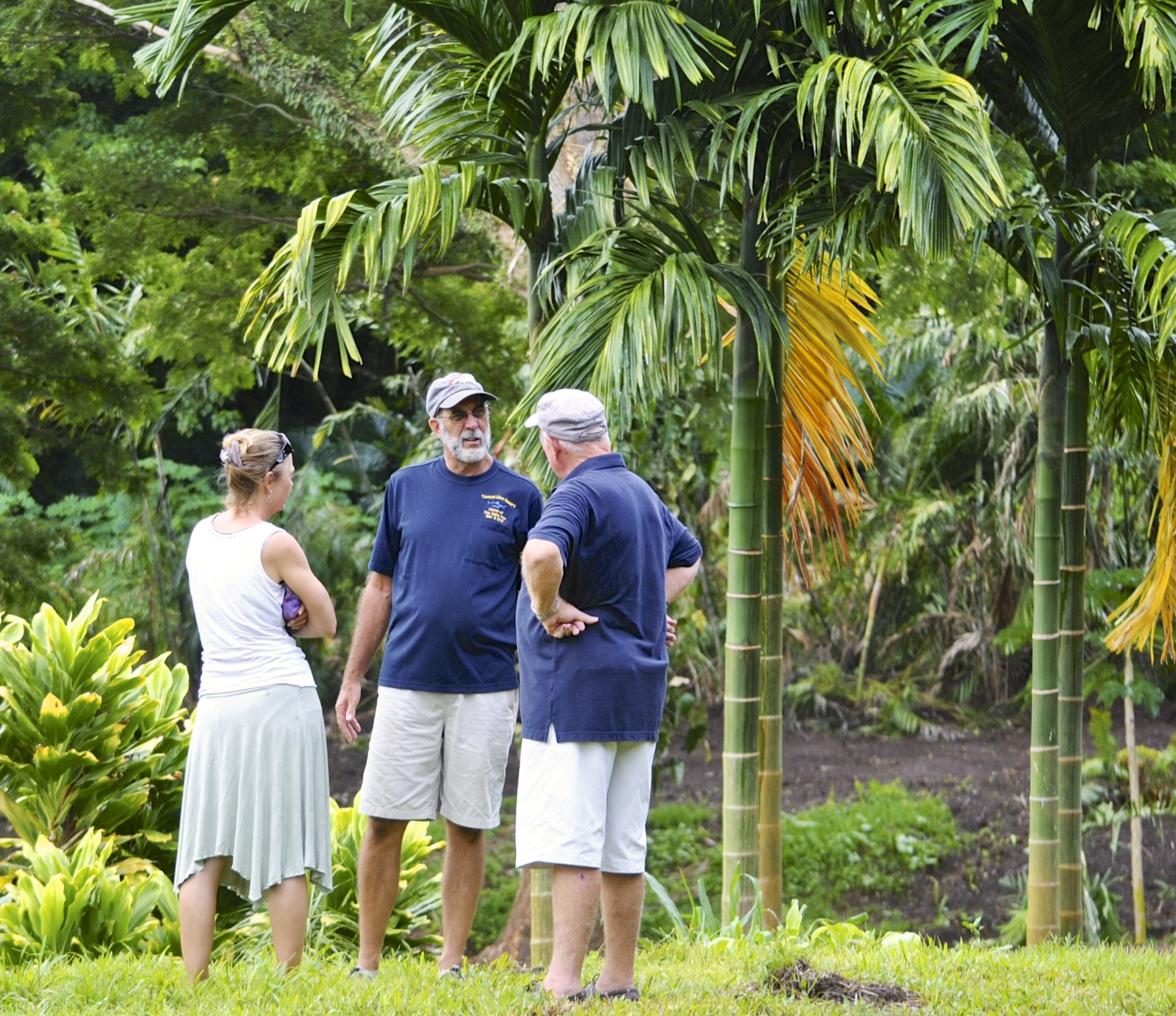 Carl, John Davies, and Mila are talking at one of the bure sites. Can you imagine having morning tea in these surrounding?