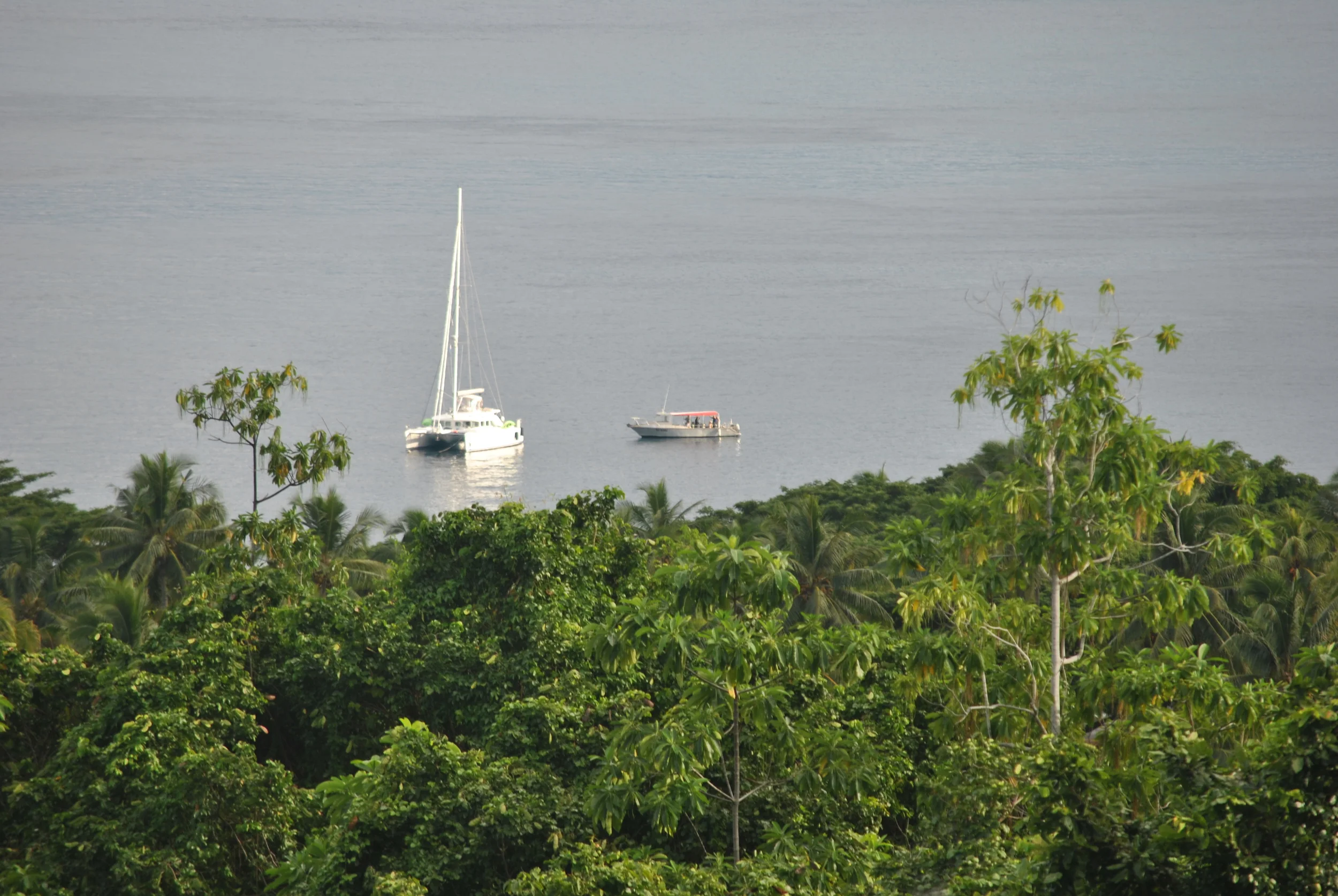 Taveuni Dive elevating door to door service to a new level.
