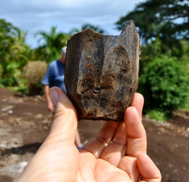 Another archaeological treasure? You be the judge.