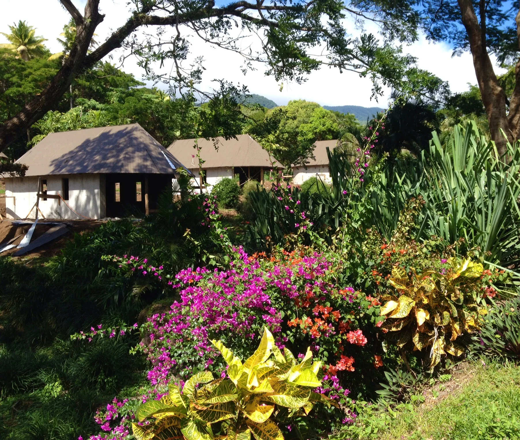 Construction Progress Update #6 - Two Months of Build.