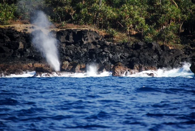 That she blows! I think this is the Vuna blowhole. Someone will correct me if I'm wrong.