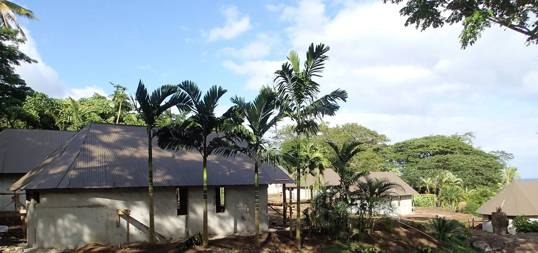 Construction Progress Update #7