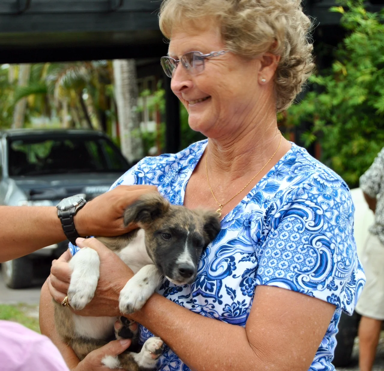 Construction Progress Update #10