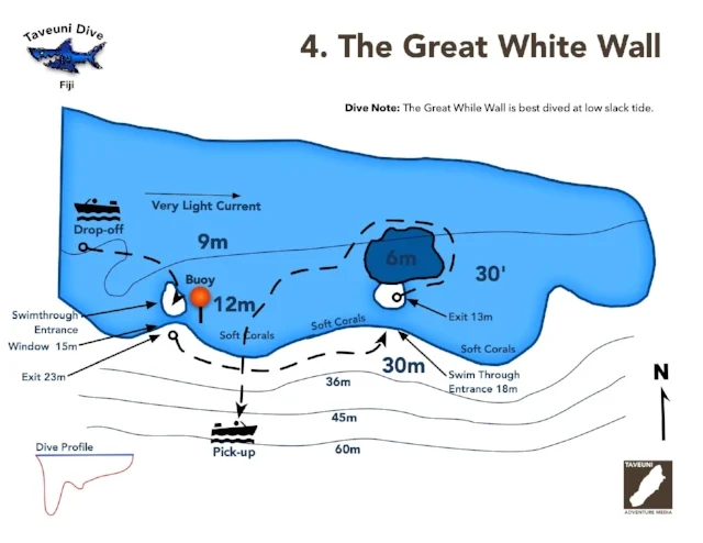 The Great White Wall Dive Map | Return to Dive Sites