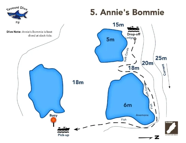 Dive Map for Annie's Bommie | Return to Dive Sites