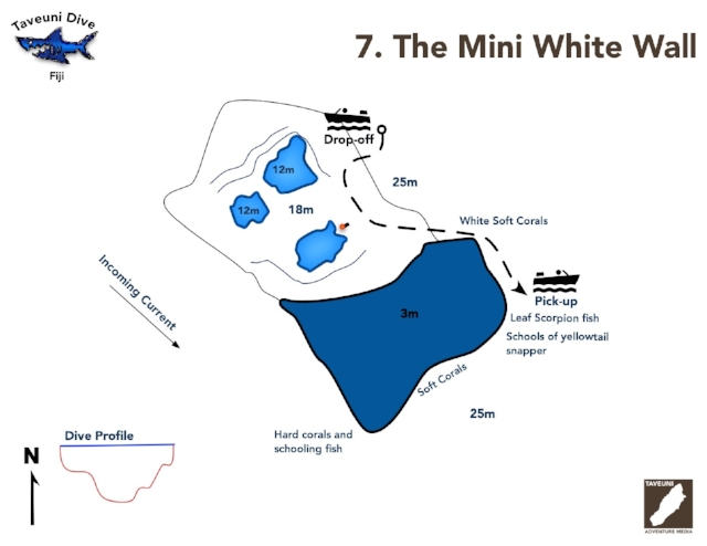 Dive Map for the Mini White Wall | Return to Dive Sites