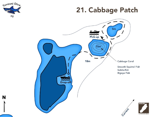 Dive Map for the Cabbage Patch | Return to Dive Sites