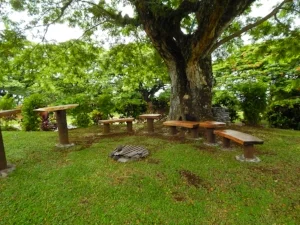 A garden seating area near the pool.