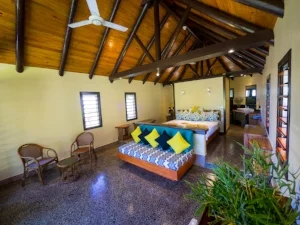bure interior