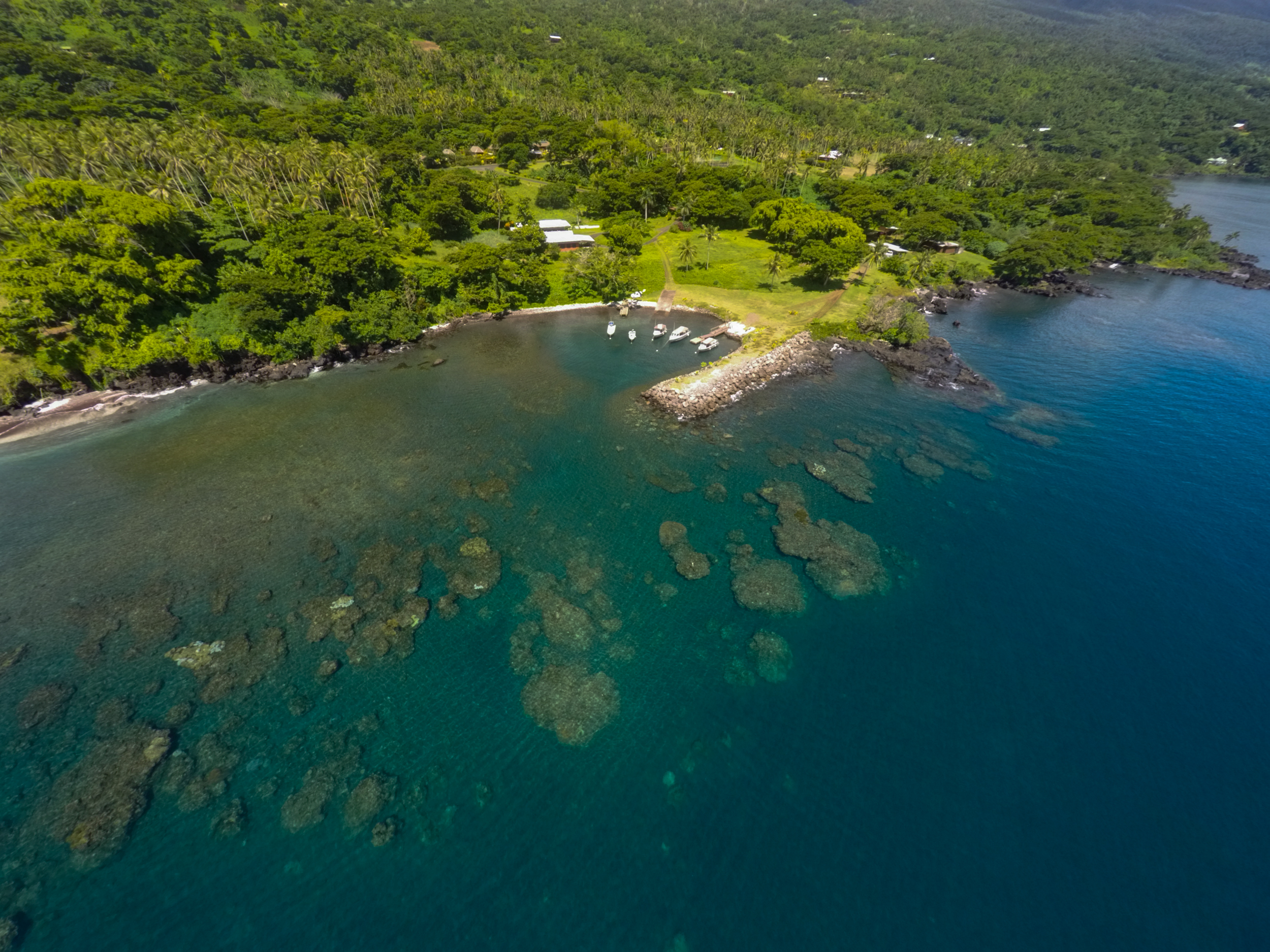 Here is a neat picture showing the coral mommies we navigate every day on the way out to diving. 