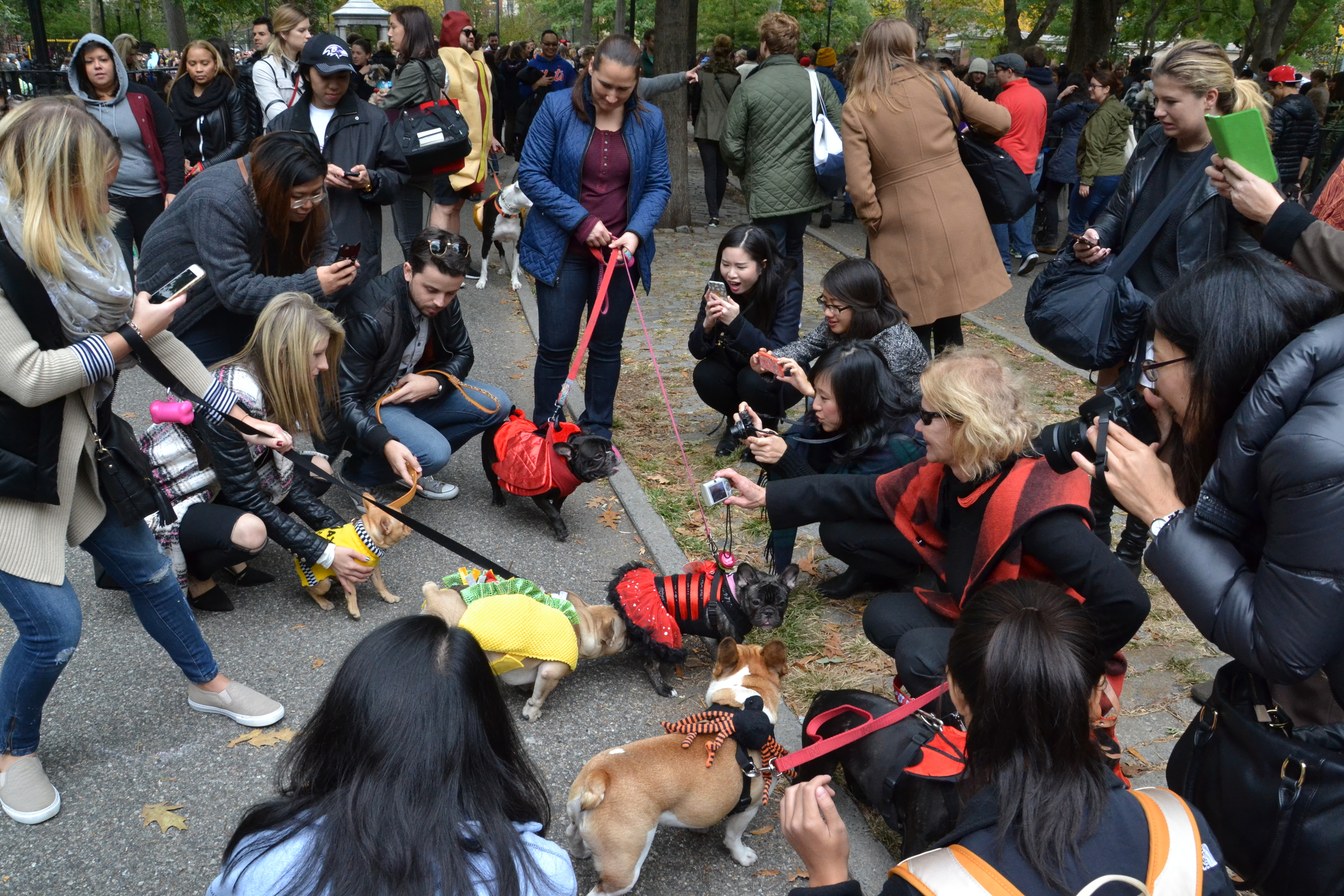 Halloween Dog Parade_0017.JPG