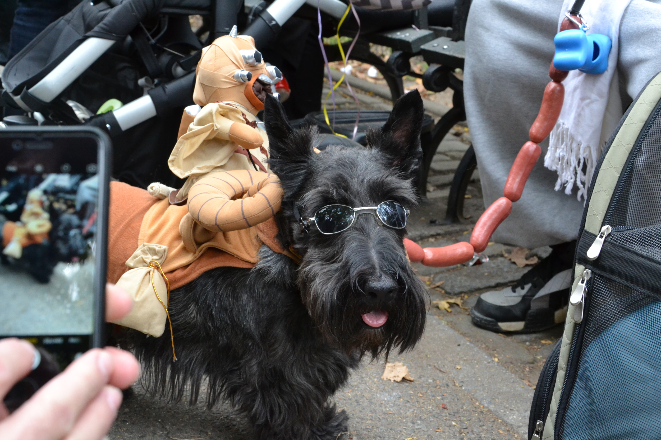 Halloween Dog Parade_0040.JPG