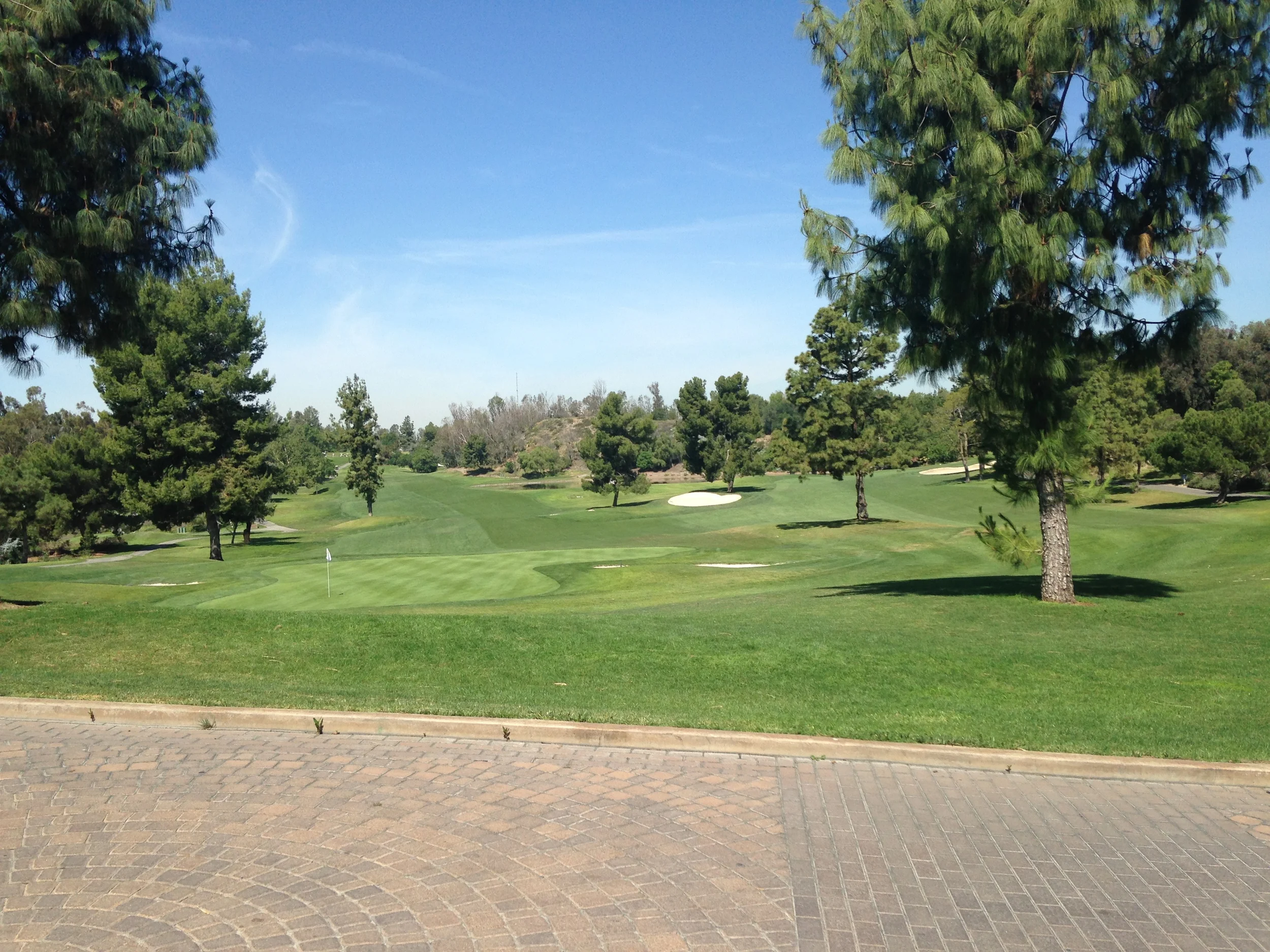 2014-05-03 10.36.41.jpg