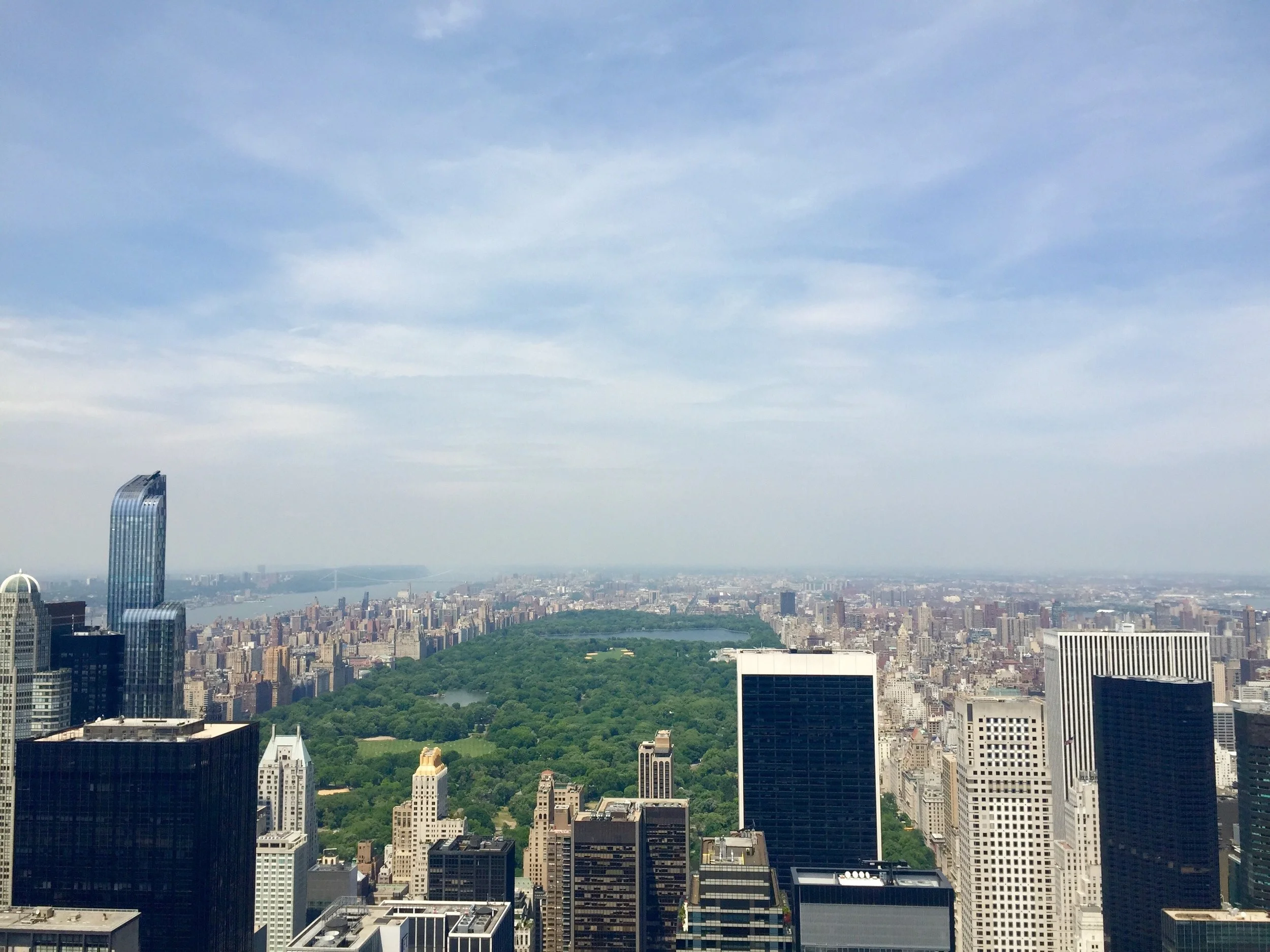 Project Profile: The Green City Movement
