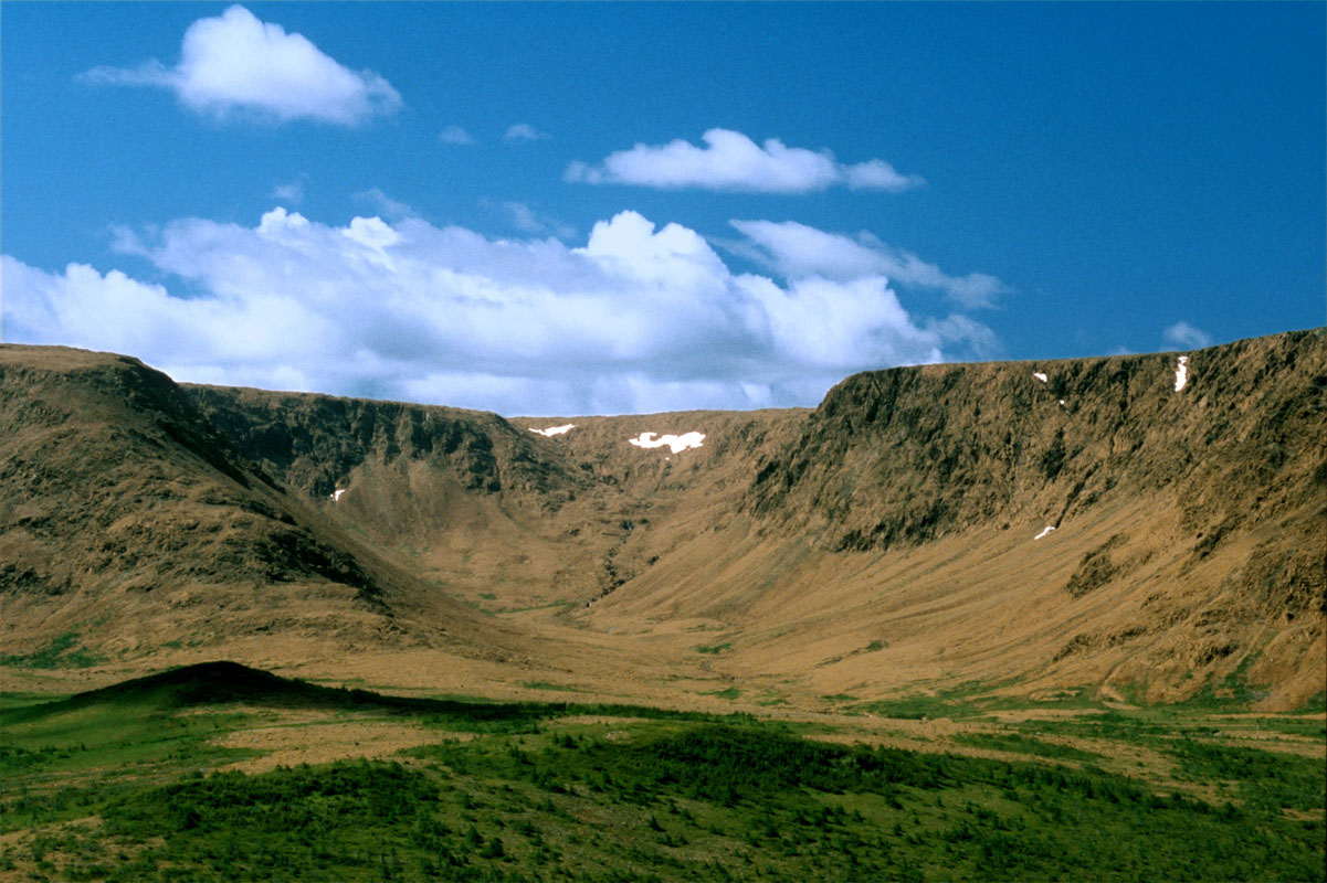 Earth meets Mars